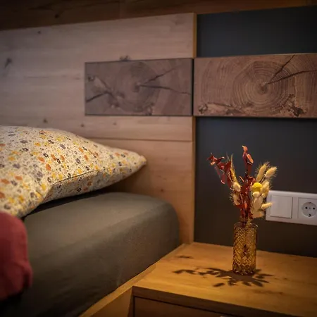 Апартаменты Alpenappartment Шпиталь-ам-Пихрн